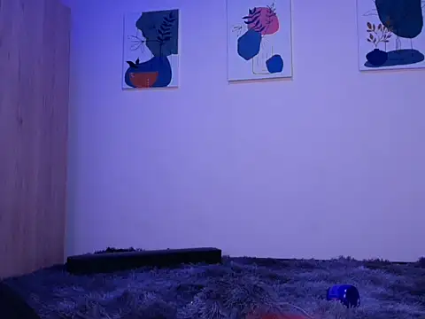 sofia blossom online show from 22, 9, 2025