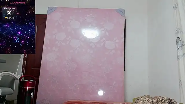 baoer-558 online show from 18, 12, 2024