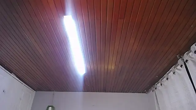 Scarllett BDSM online show from 29, 11, 2025