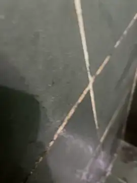 Snapshot of gzn01 chatting on 28, 10, 2025 gzn01 online show from 28, 10, 2025