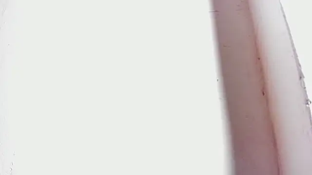 tifany bigdick online show from 27, 2, 2025