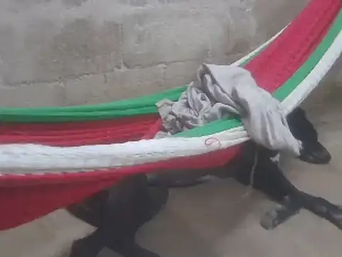 tripexnte online show from 16, 2, 2025