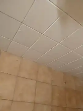 moder066 online show from 11, 12, 2024