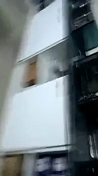 pedritolobito online show from 3, 12, 2024