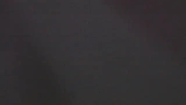 Snapshot of Zoeth_Ruiz chatting on 4, 1, 2025 Zoeth Ruiz online show from 4, 1, 2025