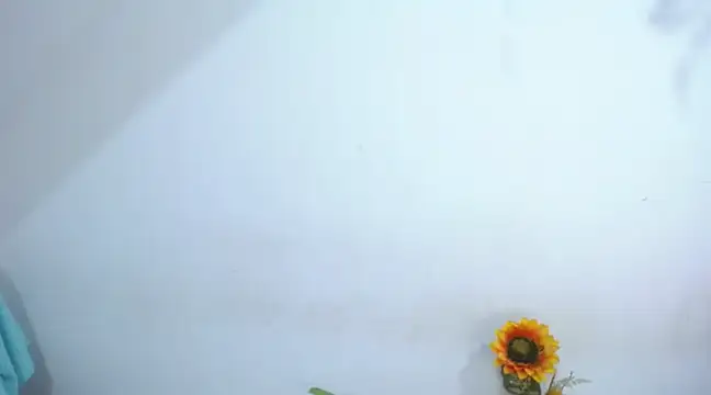 Snapshot of diamonmeli chatting on 14, 1, 2025 diamonmeli online show from 14, 1, 2025