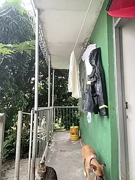 Jestebanano online show from 4, 2, 2026