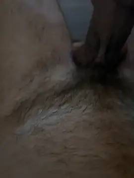 AimedTarheel online show from 3, 4, 2026