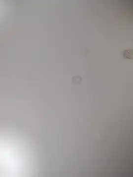 Snapshot of geilerschwanz64 chatting on 24, 10, 2025 geilerschwanz64 online show from 24, 10, 2025