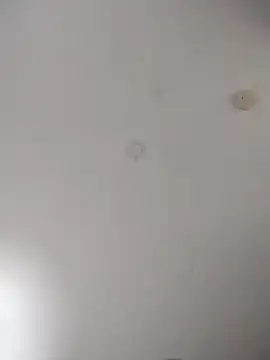 Snapshot of geilerschwanz64 chatting on 27, 10, 2025 geilerschwanz64 online show from 27, 10, 2025