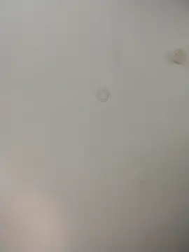 Snapshot of geilerschwanz64 chatting on 26, 11, 2025 geilerschwanz64 online show from 26, 11, 2025