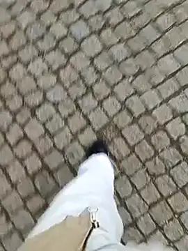 Snapshot of domexib chatting on 15, 2, 2025 domexib online show from 15, 2, 2025