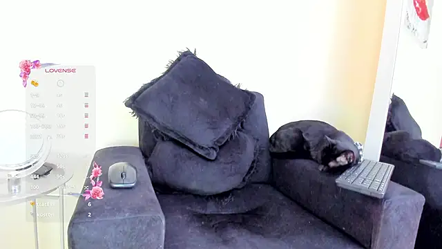 its  angelica  online show from 19, 11, 2025