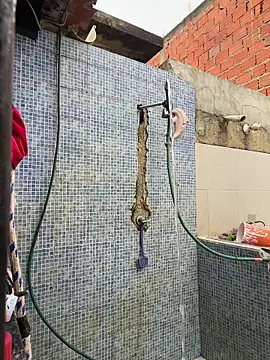 Leo bunny hot online show from 30, 11, 2025