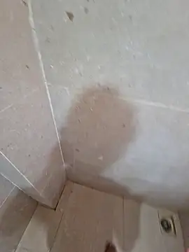 vivanpraj999 online show from 25, 11, 2025