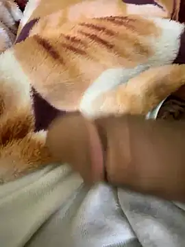 hamed-697 online show from 2, 12, 2024