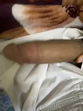 hamed-697 online show from 8, 12, 2024