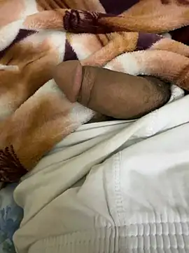 hamed-697 online show from 26, 12, 2024