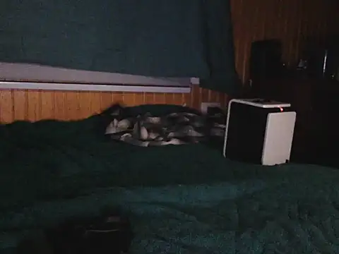 Snapshot of Thenicecook chatting on 23, 10, 2025 Thenicecook online show from 23, 10, 2025