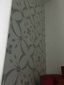 Snapshot of Carolinen chatting on 12, 1, 2025 Carolinen online show from 12, 1, 2025