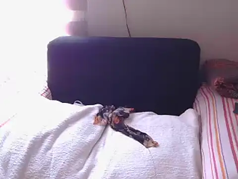 Snapshot of Mollybrookexx chatting on 11, 12, 2024 Mollybrookexx online show from 11, 12, 2024