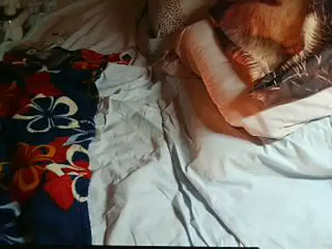 VeneRed online show from 16, 4, 2026