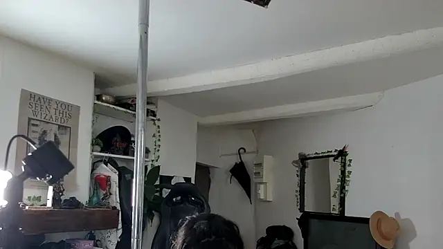 CeriseLapine online show from 16, 11, 2025