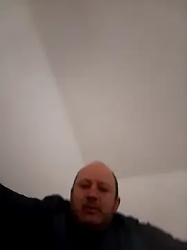 Snapshot of gato- chatting on 6, 3, 2026 gato- online show from 6, 3, 2026