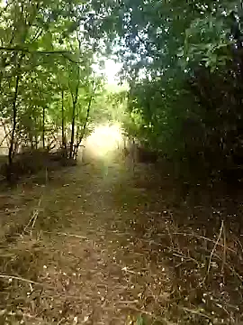 Snapshot of nataliecdlive chatting on 13, 9, 2025 nataliecdlive online show from 13, 9, 2025