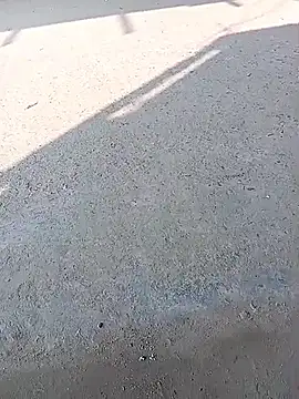 sexsexbo online show from 15, 1, 2026