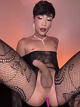 sue   0 online show from 14, 7, 2026