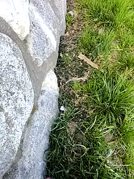 DrownMentallyyy online show from 22, 3, 2025