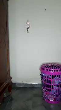 Snapshot of SuranSexy33 chatting on 24, 2, 2025 SuranSexy33 online show from 24, 2, 2025