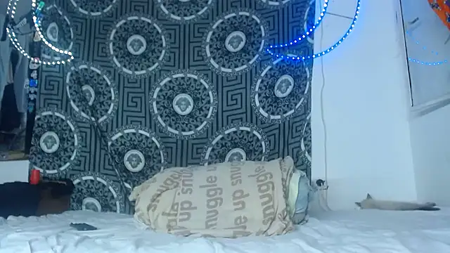 Adam hard  online show from 26, 11, 2025