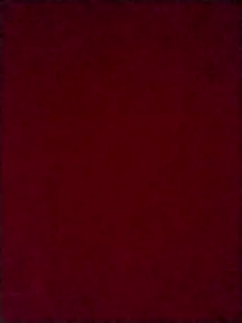 Luci foxx online show from 8, 10, 2025