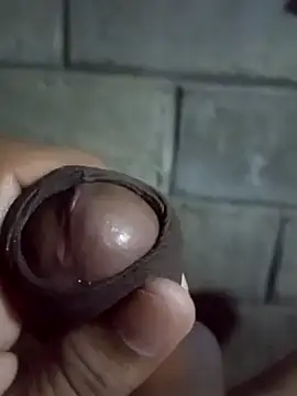 ga213333 online show from 16, 11, 2025