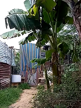 Snapshot of tayson_ chatting on 14, 3, 2025 tayson online show from 14, 3, 2025