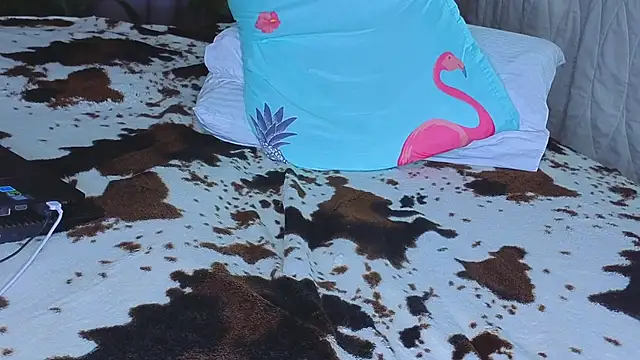 missnew2 online show from 17, 1, 2026