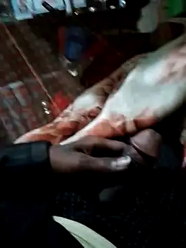 Snapshot of Antor1234 chatting on 15, 12, 2024 Antor1234 online show from 15, 12, 2024