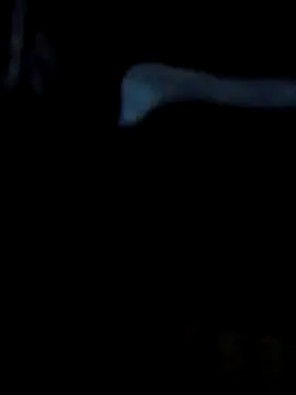 Snapshot of Antor1234 chatting on 23, 2, 2025 Antor1234 online show from 23, 2, 2025