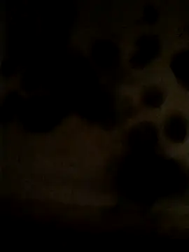 Snapshot of Leocesar37 chatting on 25, 5, 2026 Leocesar37 online show from 25, 5, 2026