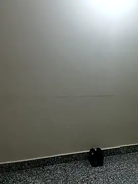 Saroj-Shah online show from 2, 4, 2026