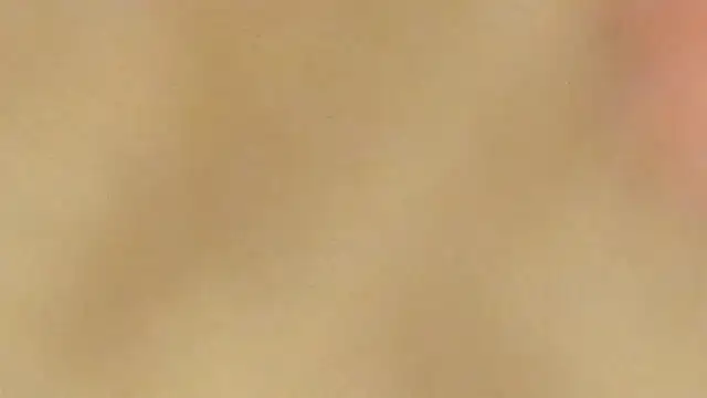 Snapshot of AraCopple chatting on 31, 12, 2024 AraCopple online show from 31, 12, 2024