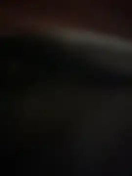 Snapshot of Jan_berger chatting on 20, 1, 2025 Jan berger online show from 20, 1, 2025