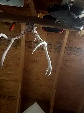 Snapshot of dcockell chatting on 23, 10, 2025 dcockell online show from 23, 10, 2025