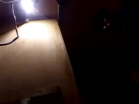 perkins1mm online show from 2, 12, 2024