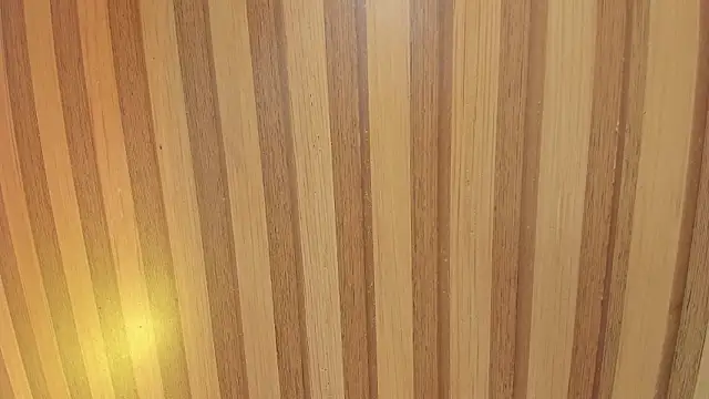 Taylor  cooper online show from 6, 2, 2026