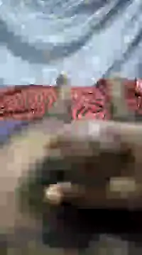 mallucallboy2104 online show from 1, 1, 2025