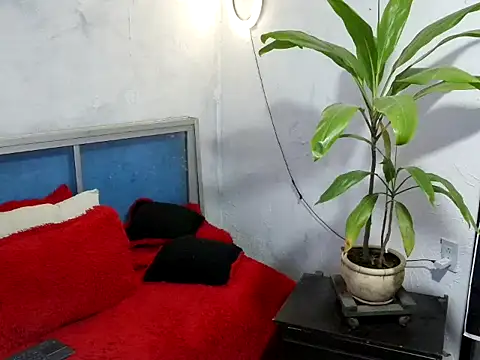 bellacrespalatina online show from 17, 3, 2026