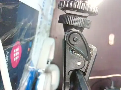 bellacrespalatina online show from 22, 4, 2026